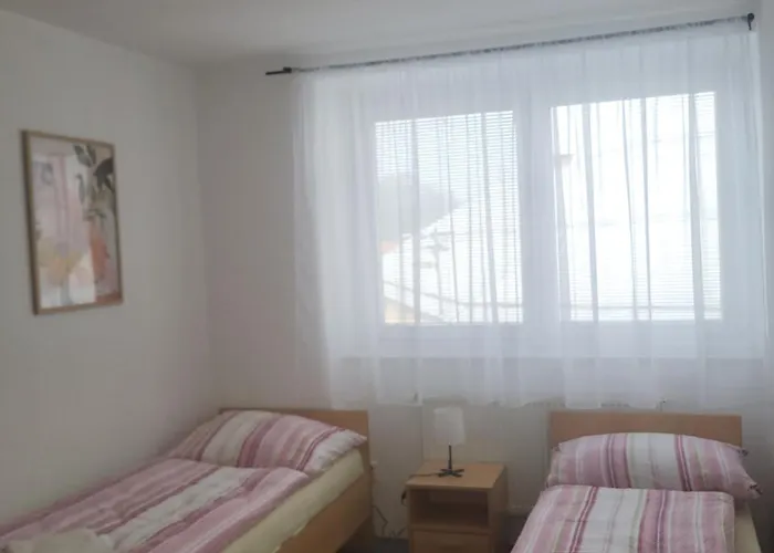 Apartamento Komárov 3
